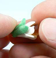 Green clay on white clay